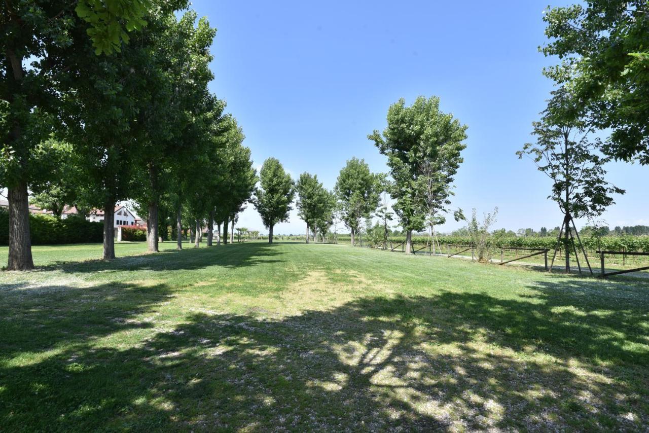 Tenuta Le Risare Bed and Breakfast Campo San Martino Exterior foto