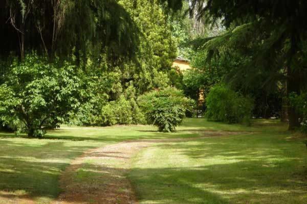 Tenuta Le Risare Bed and Breakfast Campo San Martino Exterior foto